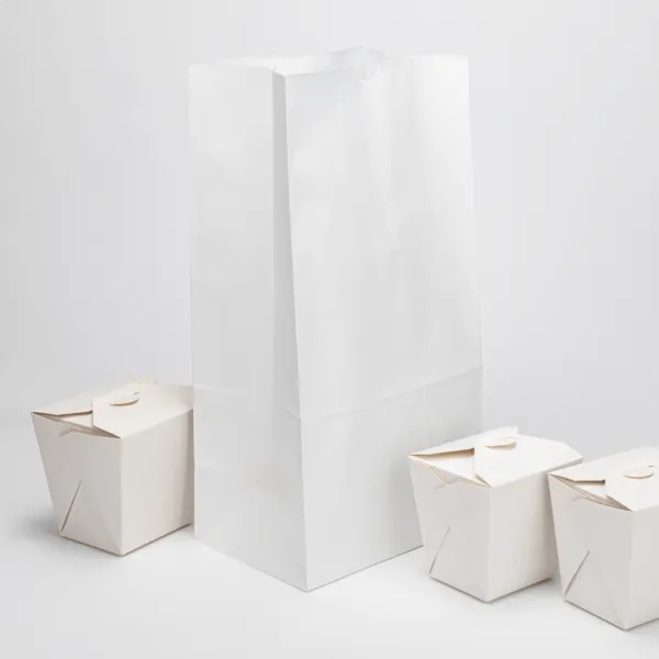 Karat 20 lb Paper Bag, White - 500 pcs