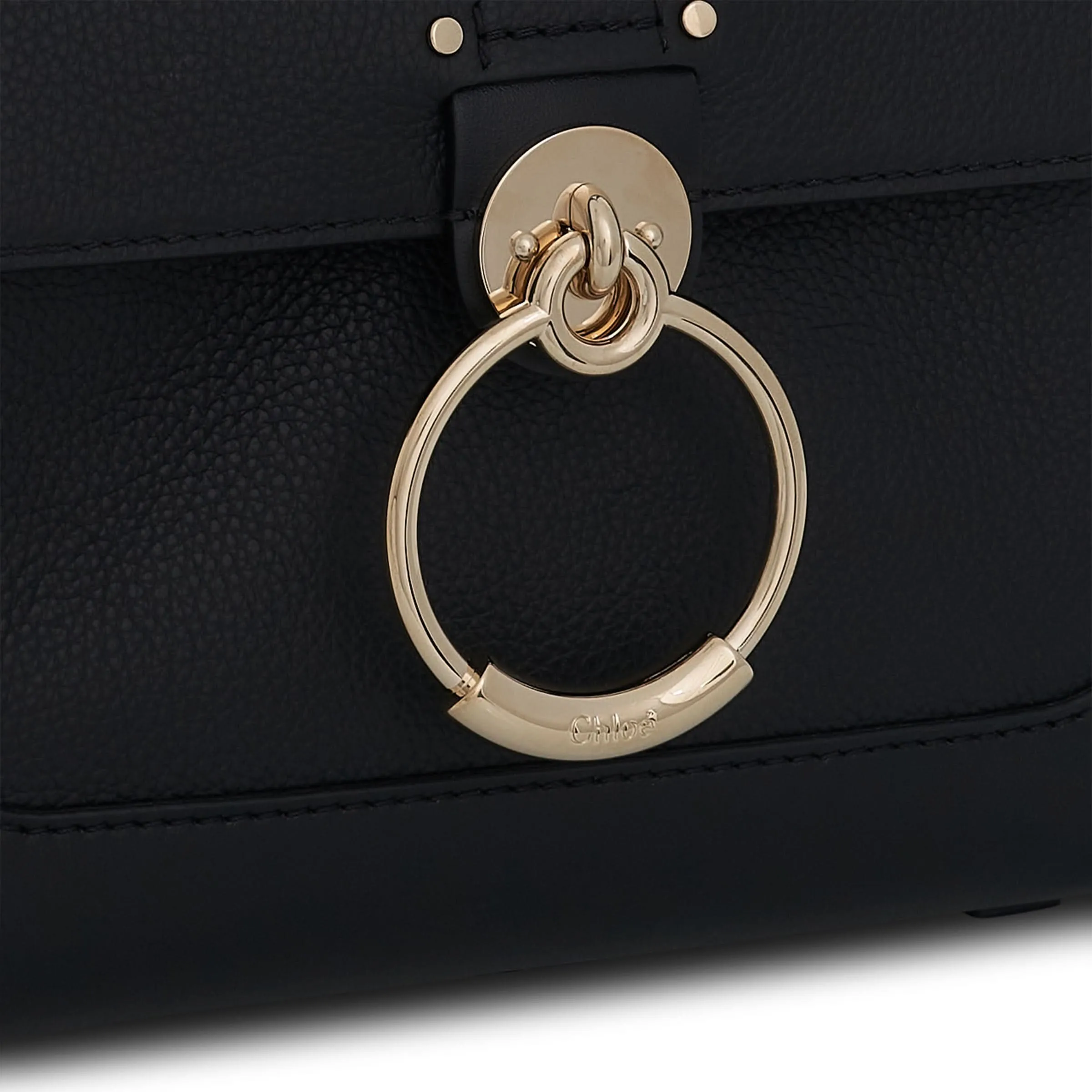 Mini Tess Day Bag in Grained & Shiny Calfskin in Black